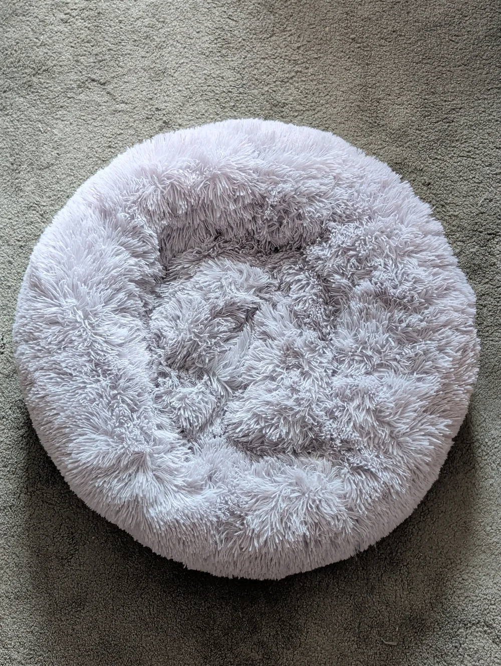 Dog Bed
